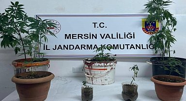 UYUŞTURUCU OPERASYONU