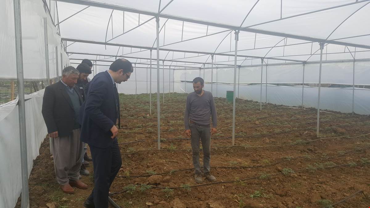 Aladağ ilçesine domates serası