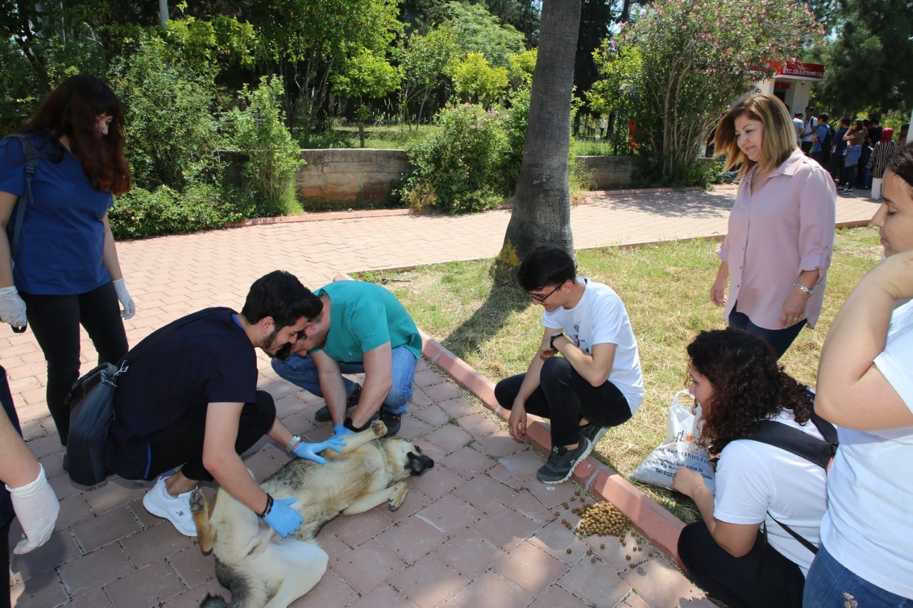 Kampüsteki Köpekler Genel Sağlık Kontrolünden Geçirildi.