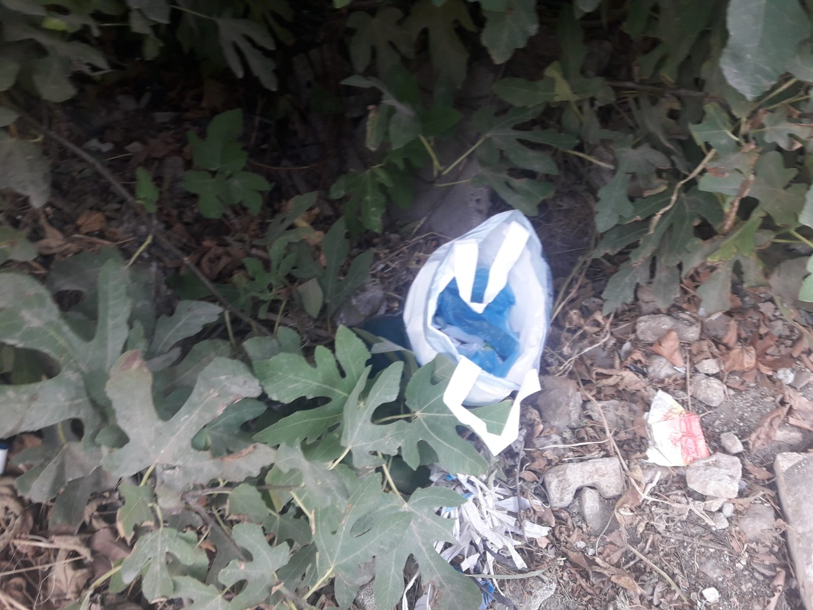 Stadyum tribününde uyuşturucu zulası