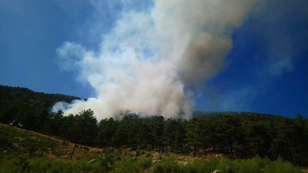 Adana'daki orman yangını kontrol altına alındı