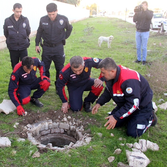 İnek köpek sayesinde kurtarıldı