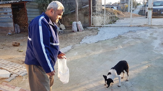 Köpek kurtarma operasyonu!