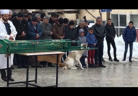 Son yolculuğunda köpeği yalnız bırakmadı