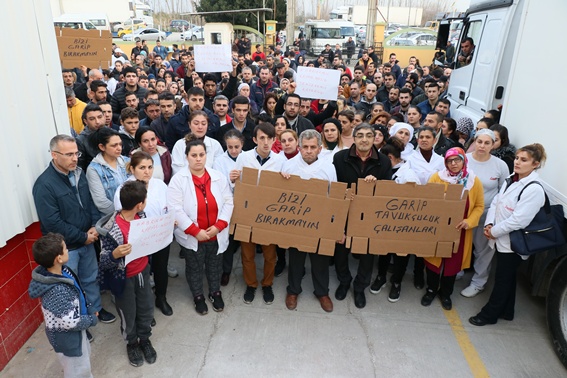 Garip Tavukçuluk konkordato ilan etti