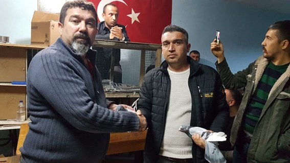 Otomobil fiyatına güvercin