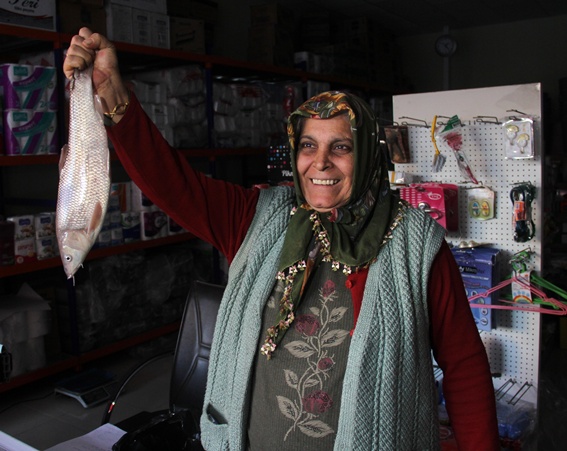 Sazan balığıyla dolandırıcılık