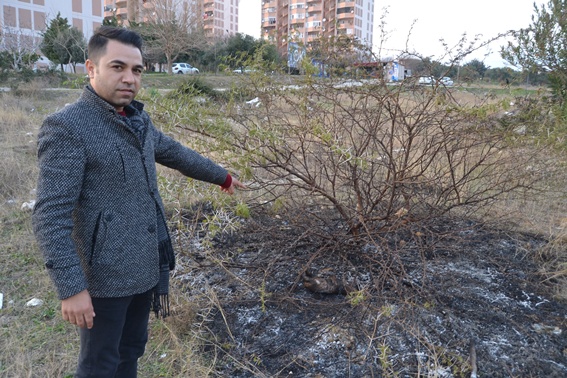 Yavru köpeği diri diri yaktılar