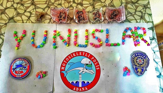 Yunuslar uyuşturucu avcısı