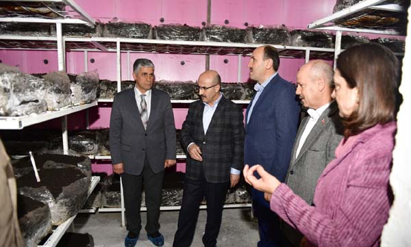 Vali Demirtaş, Mantar Üretim Tesisleri'ni inceledi
