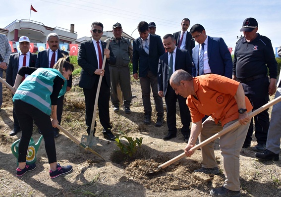 Hükümlülerden Adalet Ormanı’na 3 bin fidan