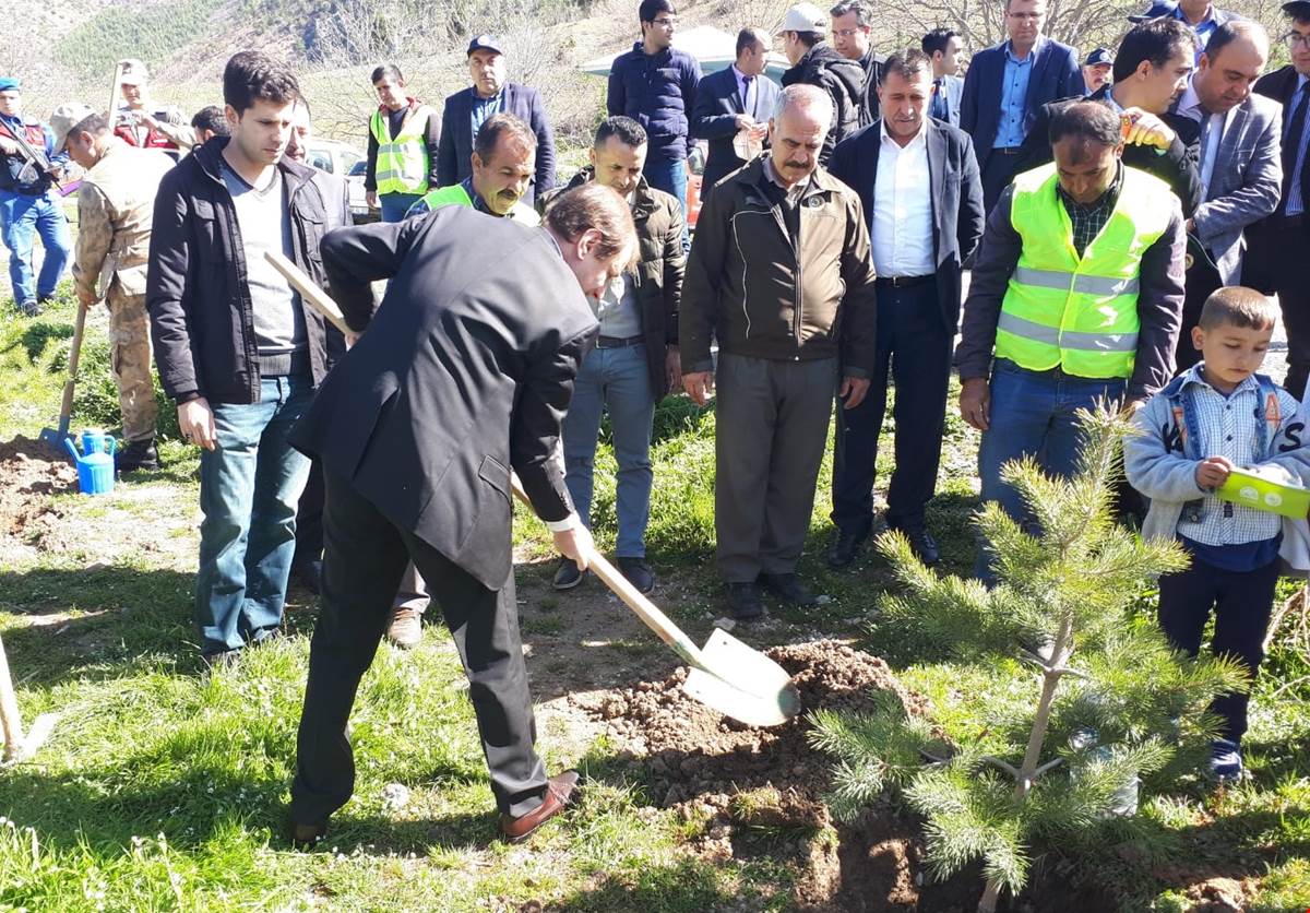 Gürleşen’e fidan diktiler