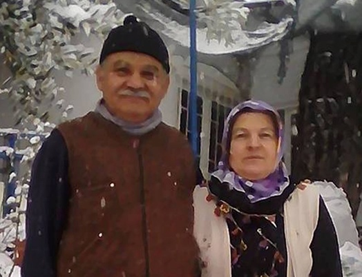 Odun yaptığı ağacın altında kalarak öldü