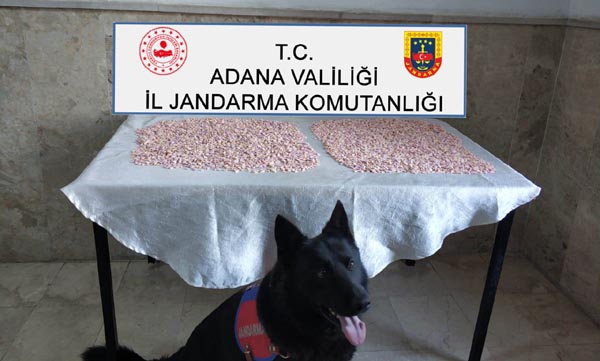 Adana'da uyuşturucu operasyonu