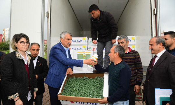 Başkan Karalar’dan köylüye domates fidesi desteği