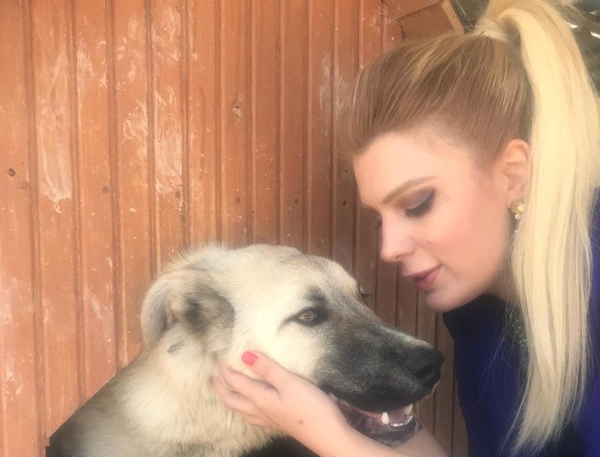 Avukat hanımın köpek sevgisi