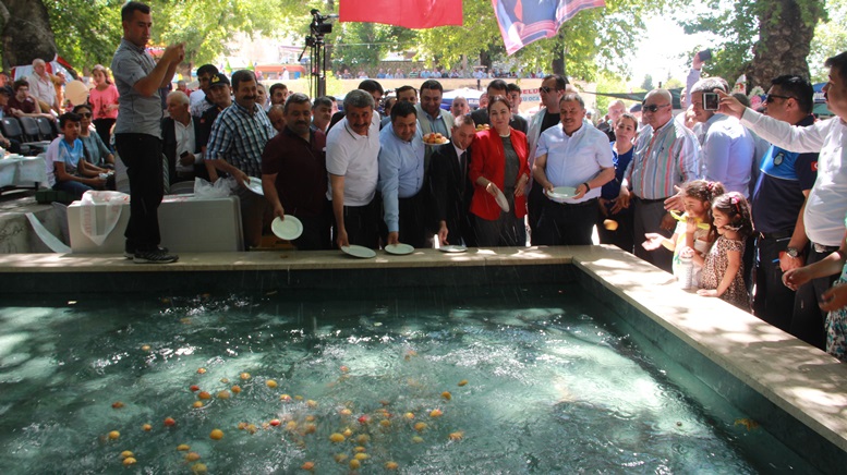 Dilek havuzuna kayısı döktüler