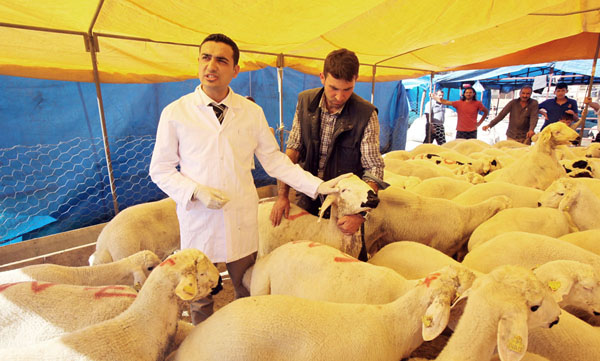 Kurbanları acemi kasaplara kestirmeyin