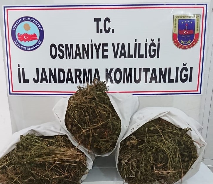 Uyuşturucu operasyonu