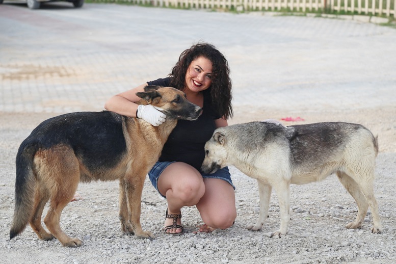 Kimsesiz köpekleri sevgiyle besliyorlar