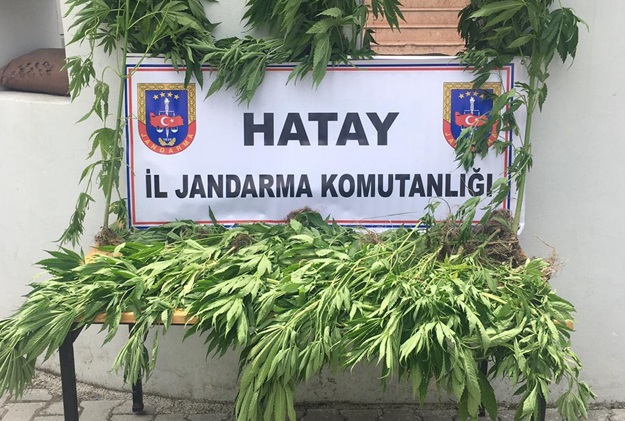 Hint Keneviri operasyonu