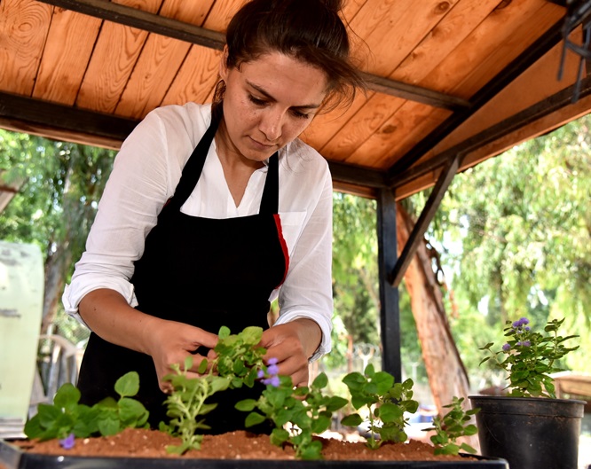 Belediye halka çiçek dağıtacak