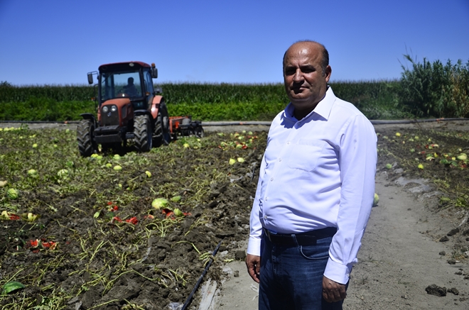 ''Çukurova’da fiyat düşüklüğünden karpuz sürülüyor''