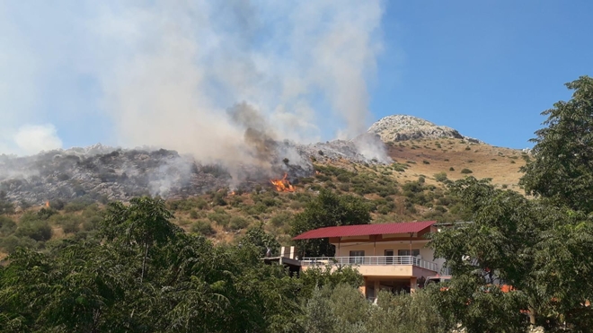 Ceyhan'daki orman yangını kontrol altına alındı
