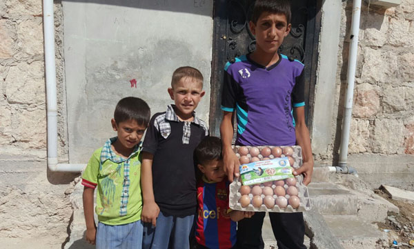 Büyükşehir’in doğal yumurtaları Cerablus’ta
