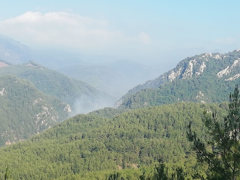 Amanos Dağları’nda orman yangını