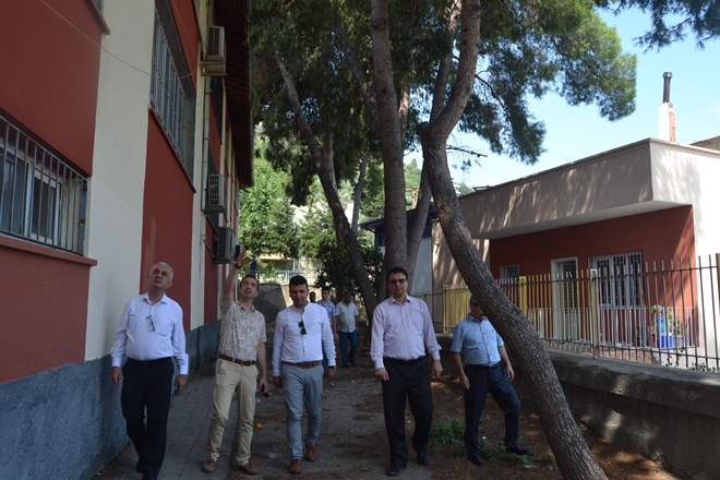 Tehlike arz eden ağaçlar için kesim kararı