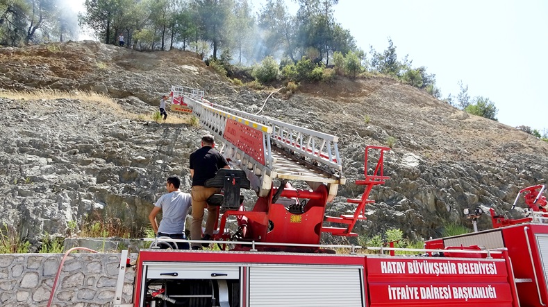 Hatay'da orman yangını