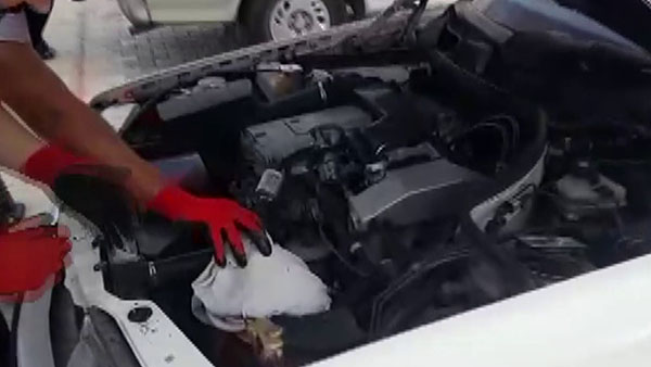 Otomobil motorunda tarihi eser kaçakçılığı