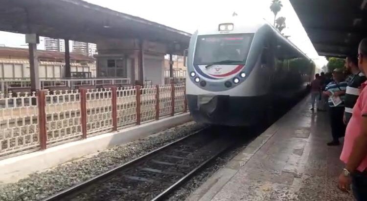 Elektrik çarpan leylek
