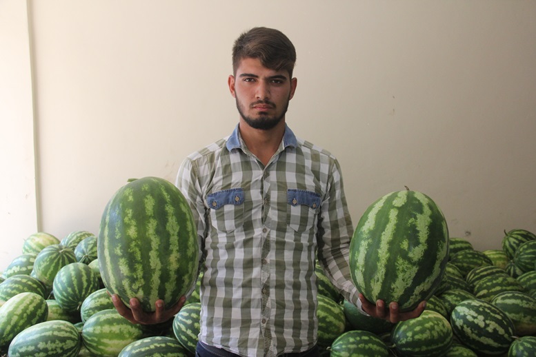 Kabak karpuz tartışması: 1 yaralı