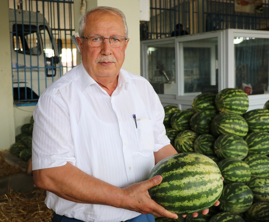 Domates 50, karpuz 20 kuruşa düştü