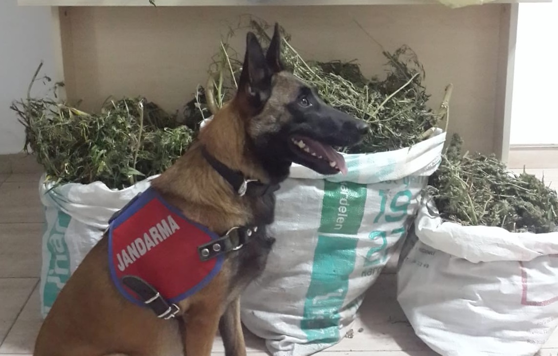 Evin gizli bölmesindeki uyuşturucuyu