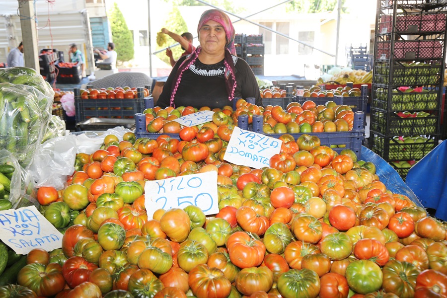 Belediye domates üreticilerine kucak açtı