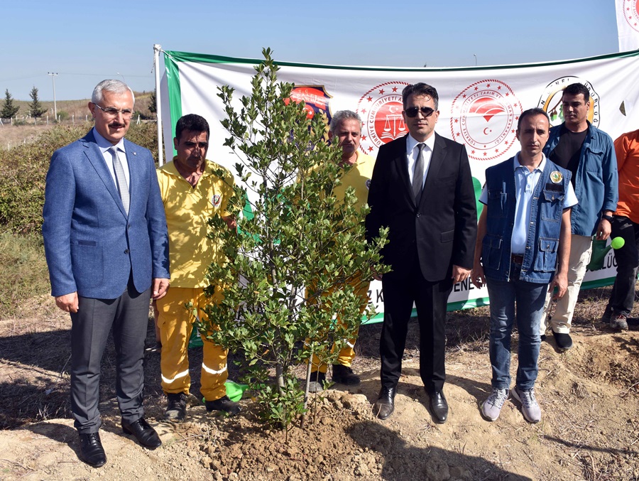 ADALET ORMANI’NA ANNELER İÇİN 571 FİDAN