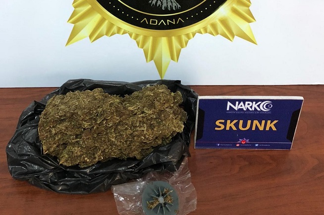 Uyuşturucu hapla yakalandılar