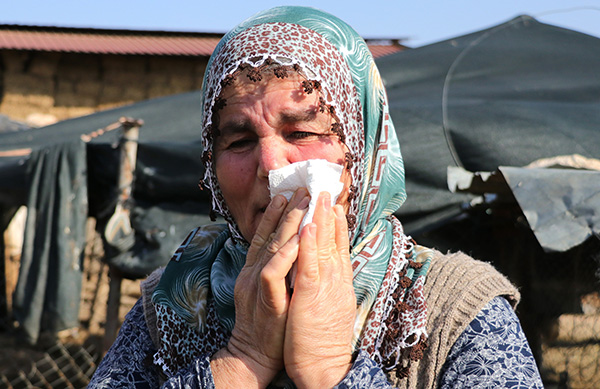Koyunları çalınan Ayşe teyze, ’Koyunlarımı geri getirsinler