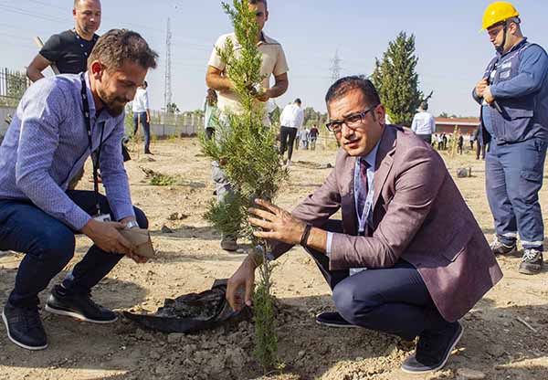 Şehir Hastanesi çalışanları fidan dikti