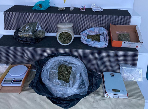 Adana'da bonzai operasyonu