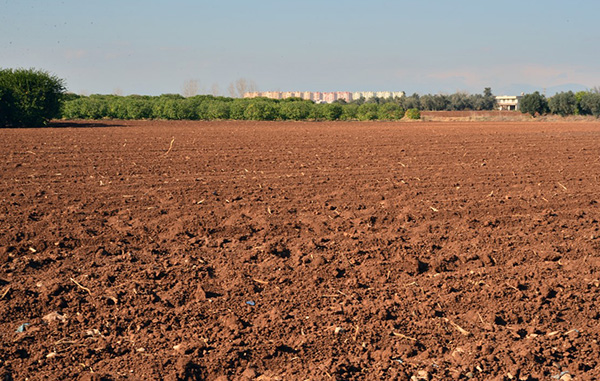 Her yıl 743 milyon ton verimli toprağımızı kaybediyoruz