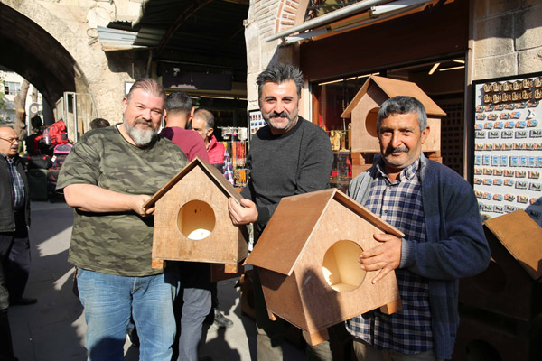 Sokak kedileri için 100 kedi evi