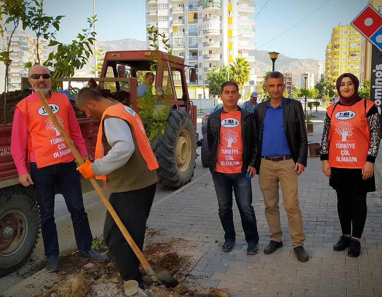 Kozan'da turunçlara bakım ve yenilemeler yapılıyor