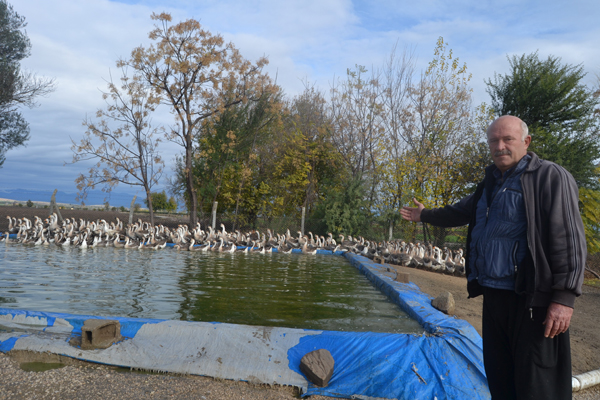 İnternetten ek iş araştırdı