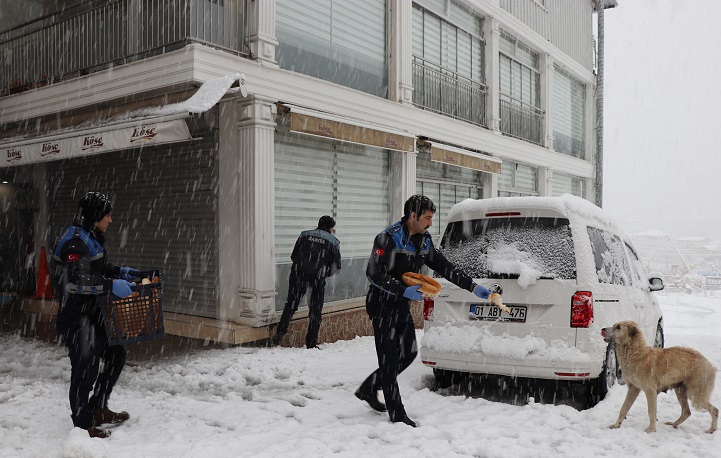 Pozantı’da sokak hayvanları unutulmadı
