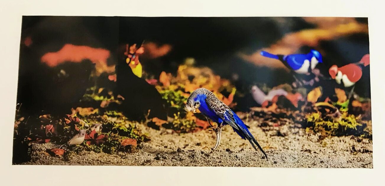 Foto Grafi Işık Atölyesi