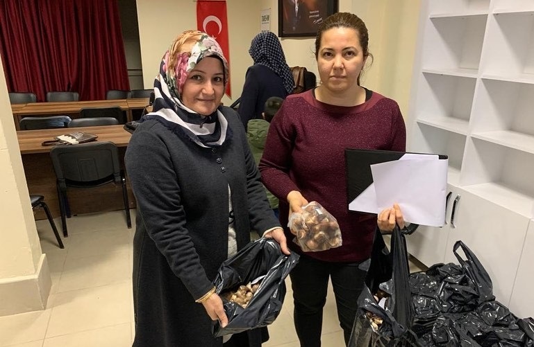 Lale soğanları ile yardım eli